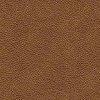 Carianna Sofa Sleeper